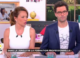 Dans la jungle de la formation professionnelle ! – La Quotidienne – France 5